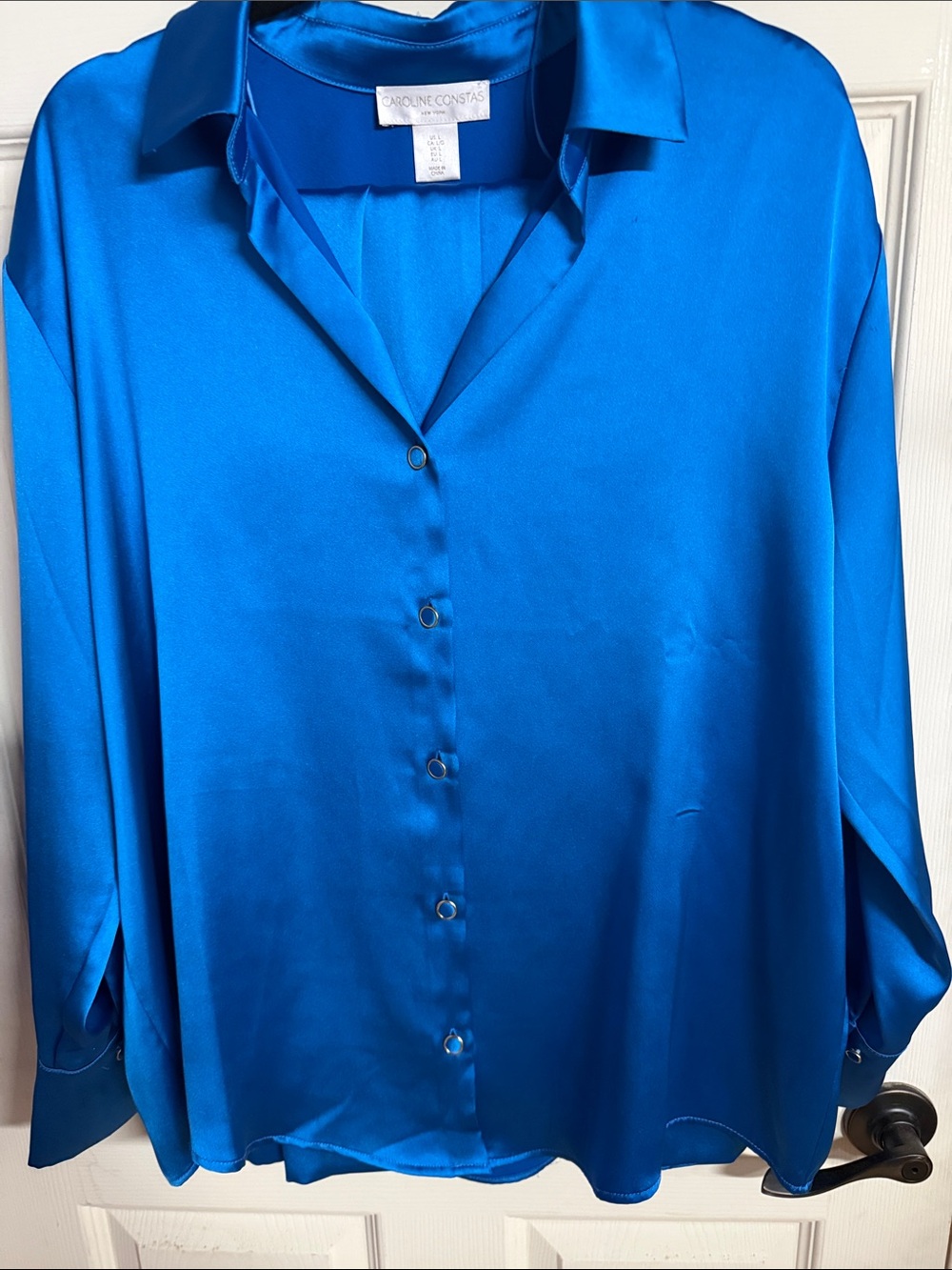 Caroline Constas  Blue Satin Button-Down Constas Blouse and pants